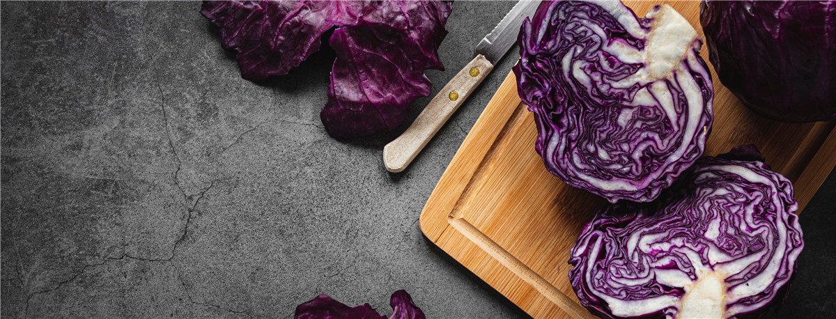 Radič Index Recepti